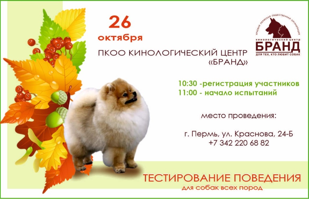 тестирование 26.10.jpg