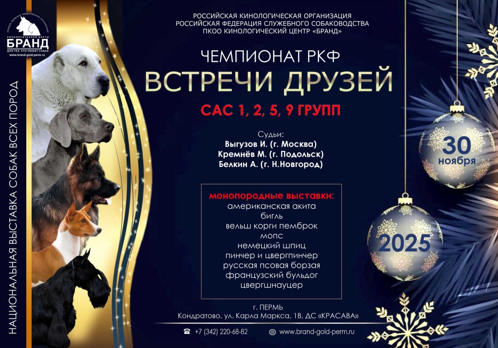 встречи друзей 2025.jpg